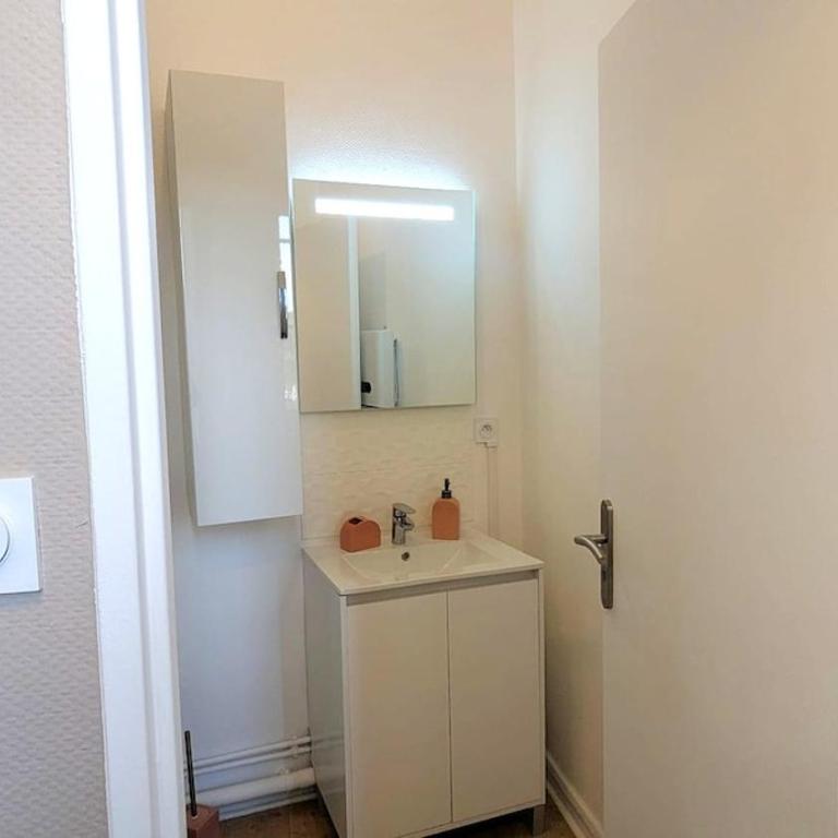 Au Fil de l'Eau, Studio Coeur de Metz - Appartement 1 Chambre - 7