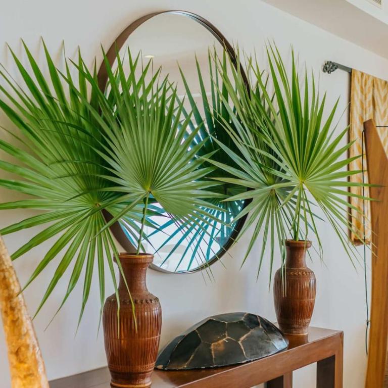 Full Floor Beachfront Luxury Apartment - Apartamento - 11