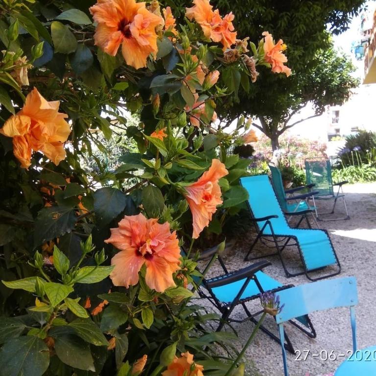 Duplex Oasis avec Jardin dans Vieille Ville - Appartement 2 Chambres - 9