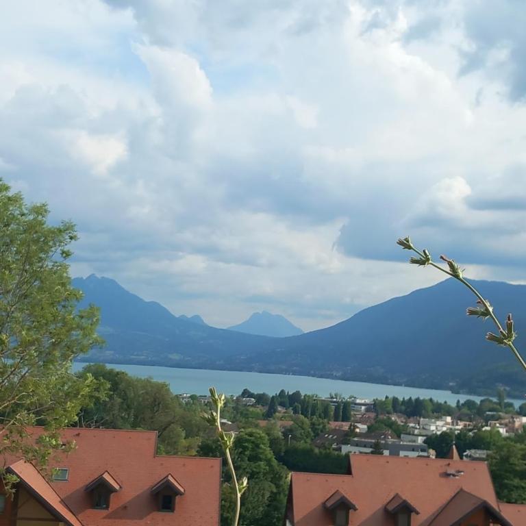 T4 Calme Lac et Montagne - Appartamento con 3 Camere da Letto - 6