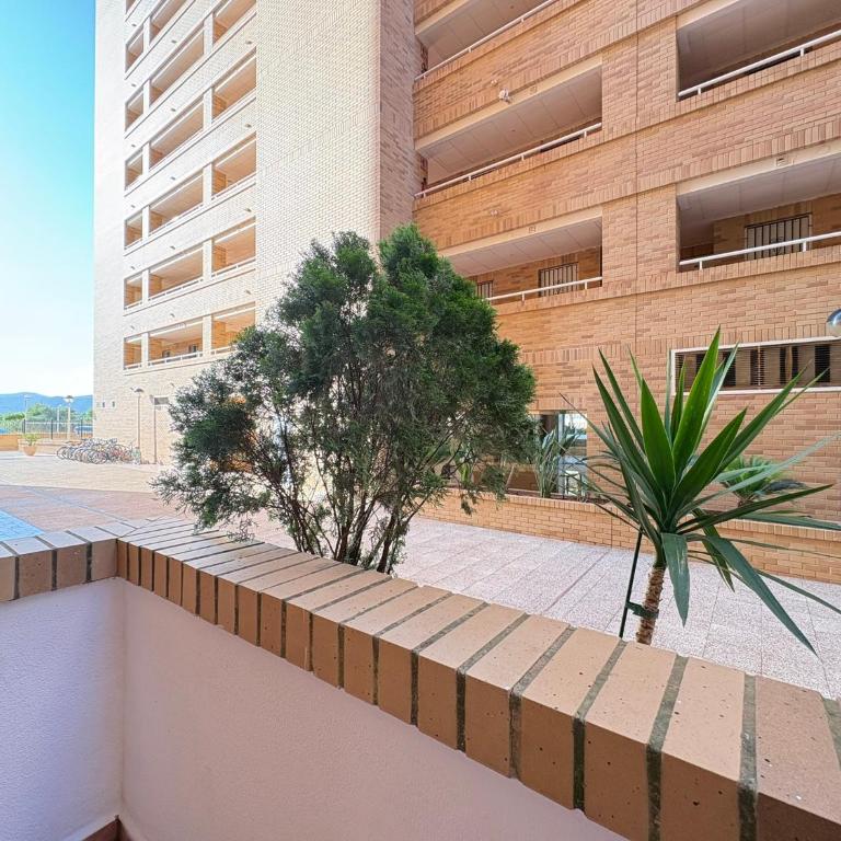 ACV - Aguamarina - 2ª linea planta baja sur - Apartamento de 2 dormitorios - 15