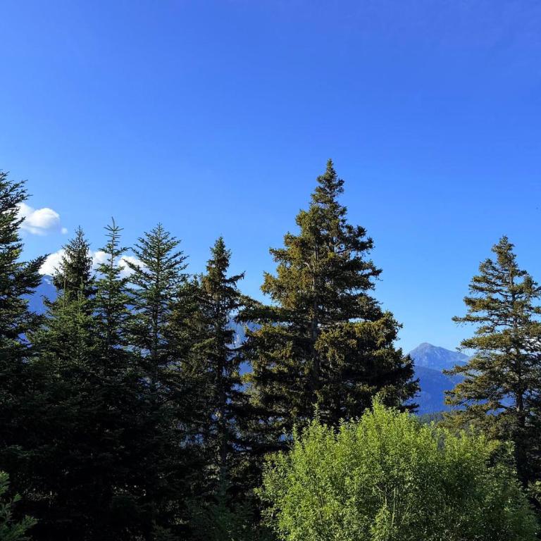 Appartement à Chamrousse - 4 pers. - FR-1-549-168 - Appartement - 2