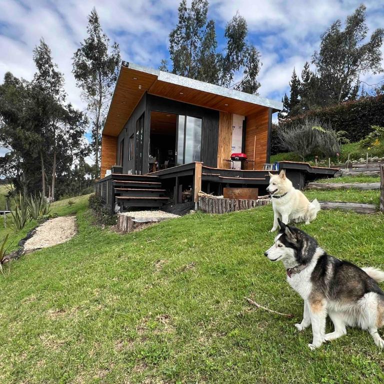 Cabaña 2 Finca La Ponderosa - Chalet de 1 dormitorio - 2