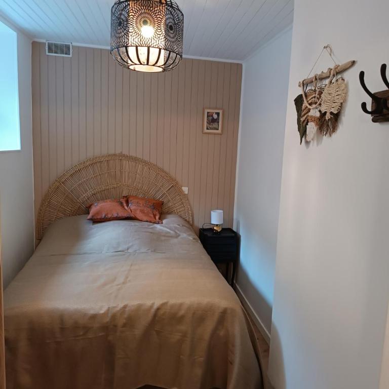 T2 plain-pied hyper centre - Appartement 1 Chambre - 4