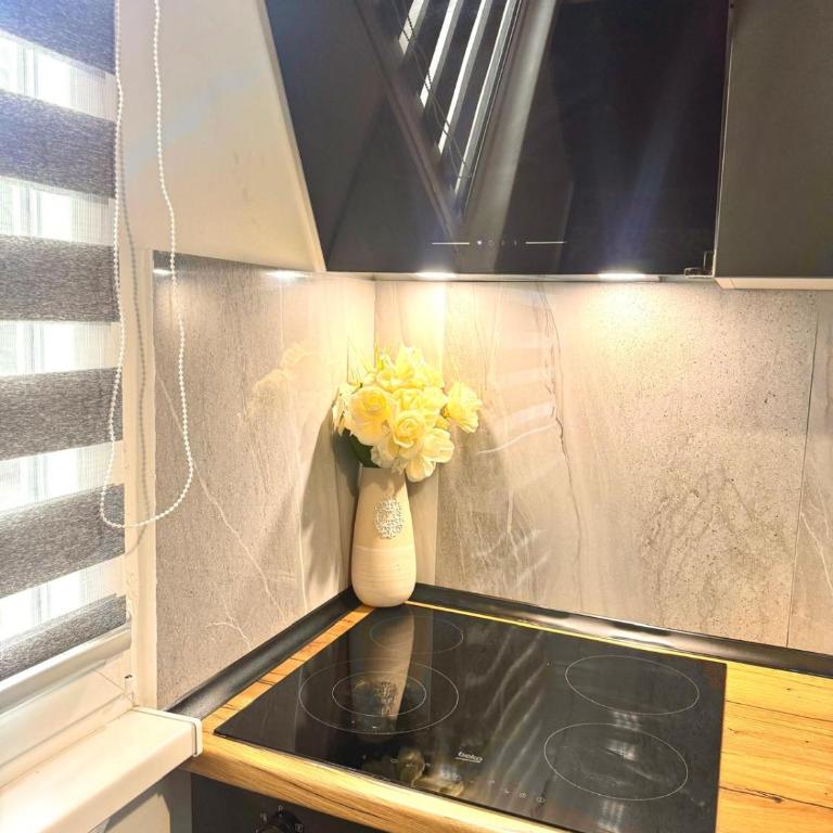 Obsidian Residence 2 - Modern Apartment near airport with free parking - Apartman sa 2 Spavaće Sobe - 32
