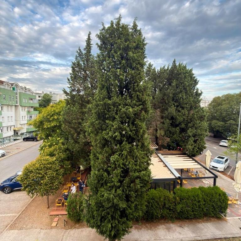 The Quiet Corner, Central Podgorica Apartment - Apartman sa 1 Spavaćom Sobom - 7