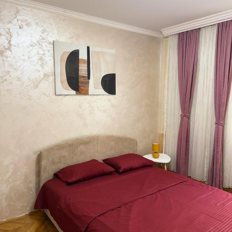 The Quiet Corner, Central Podgorica Apartment - Apartman sa 1 Spavaćom Sobom - 12