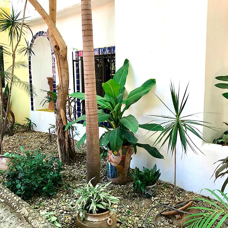 Casa Estefania - Casa de 3 dormitorios - 47