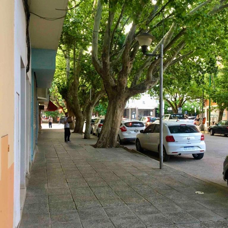Furnished apartment 3 bedrooms downtown Neuquén - Three-Bedroom Apartment - 24