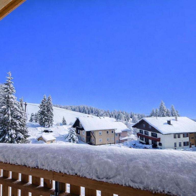 Neue Chalets im Tannheimer Tal - Chalet mit 2 Schlafzimmern - 22