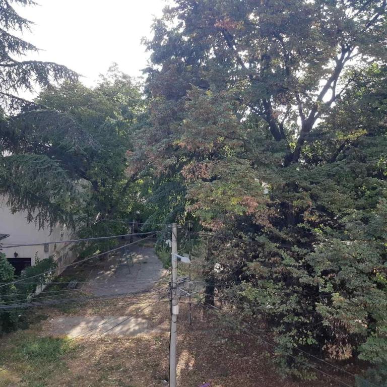 Red Cross Central Apartment-PARKING - Appartement 2 Chambres - 19