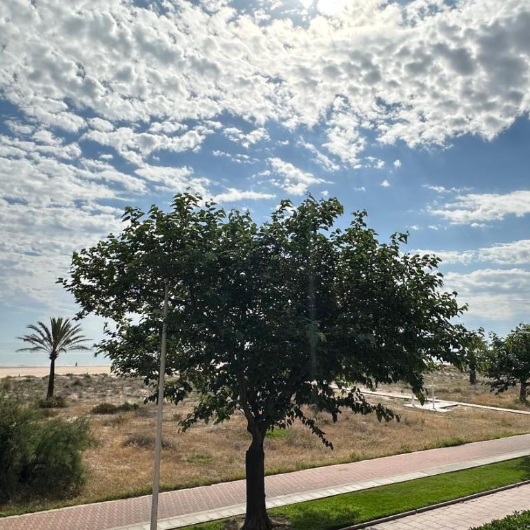 Ap BERMUDAS GANDIA - Solo familias - Apartamento Deluxe de 3 dormitorios - 32