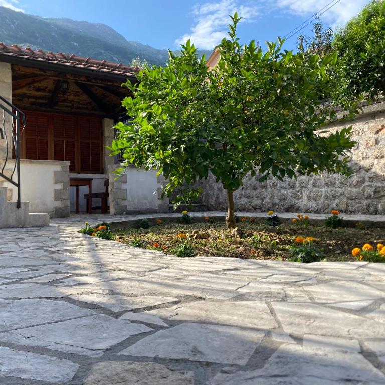 Charming Stone Cottage Kotor - Appartement 1 Chambre - 7