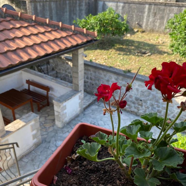 Charming Stone Cottage Kotor - Appartement 1 Chambre - 9