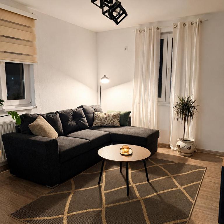 Ilidža Park Apartments - Deluks Apartman s 1 Spavaćom Sobom i Pogledom na Vrt - 3