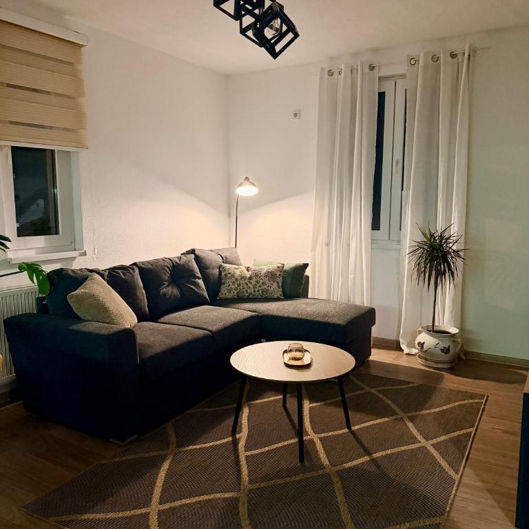 Ilidža Park Apartments - Deluks Apartman s 1 Spavaćom Sobom i Pogledom na Vrt - 12