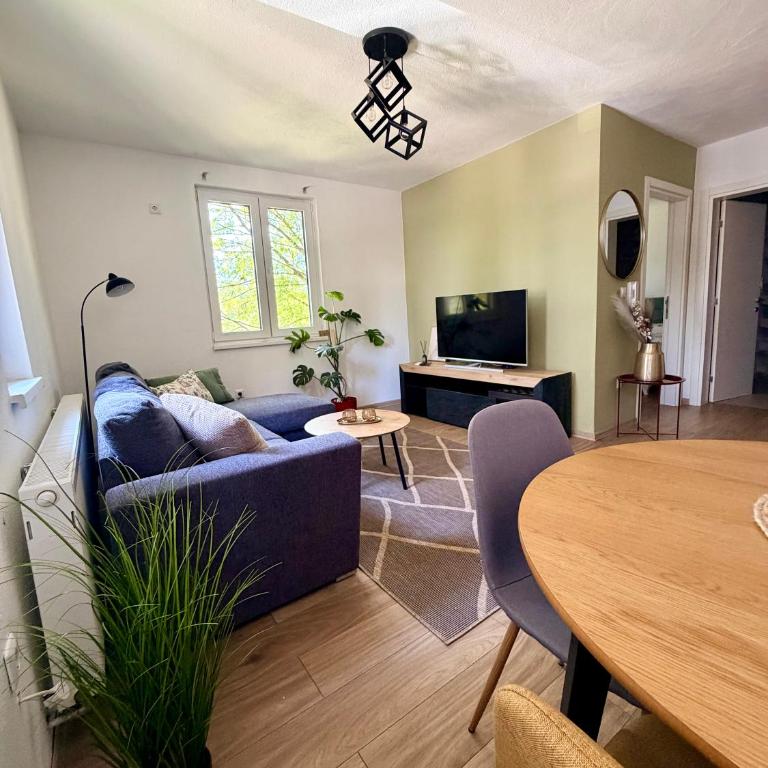 Ilidža Park Apartments - Deluks Apartman s 1 Spavaćom Sobom i Pogledom na Vrt - 14