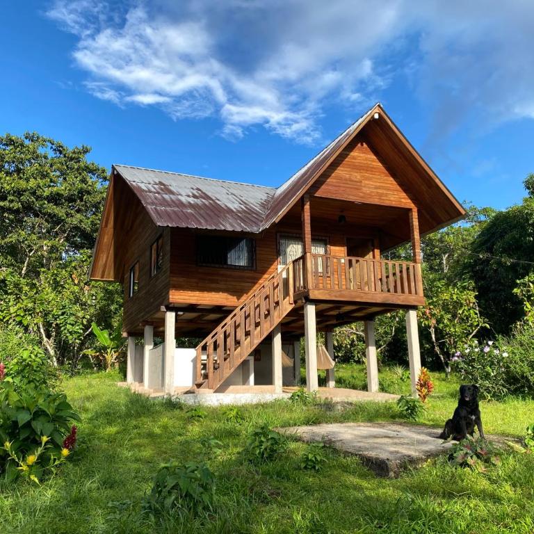 Coral Tree Lodge Tena - Casa de 2 dormitorios - 25