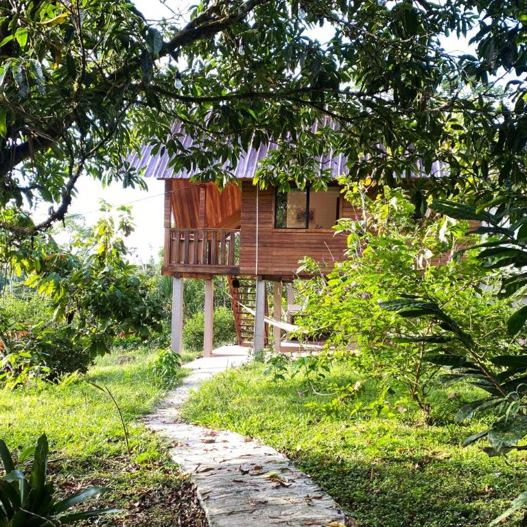 Coral Tree Lodge Tena - Casa de 2 dormitorios - 29