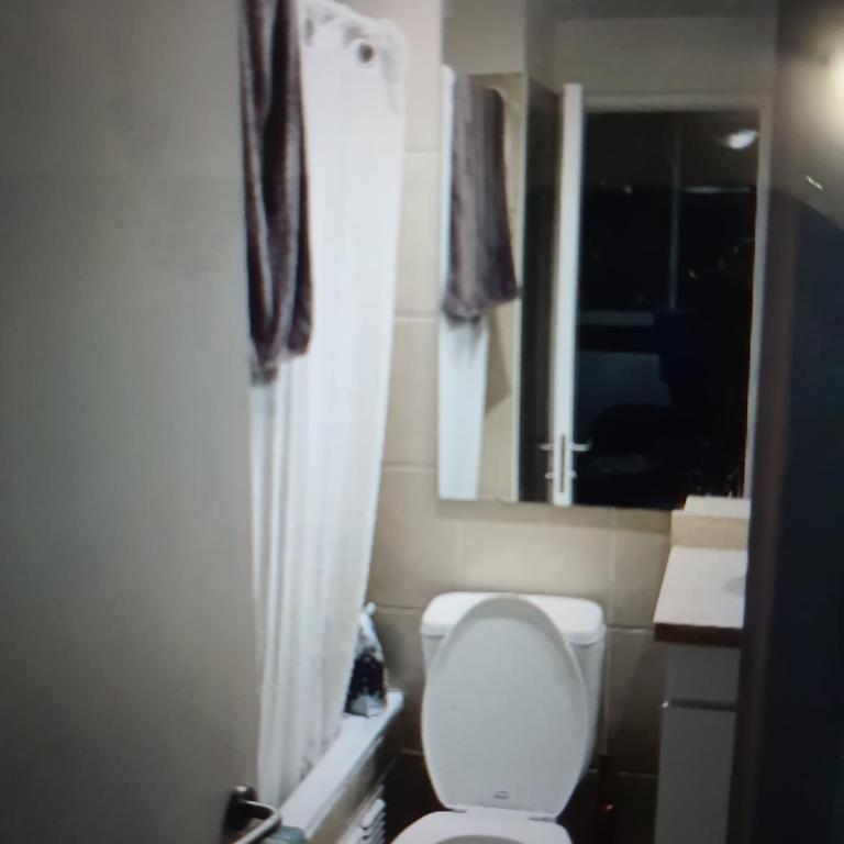 Nany depto diario - One-Bedroom Apartment - 3
