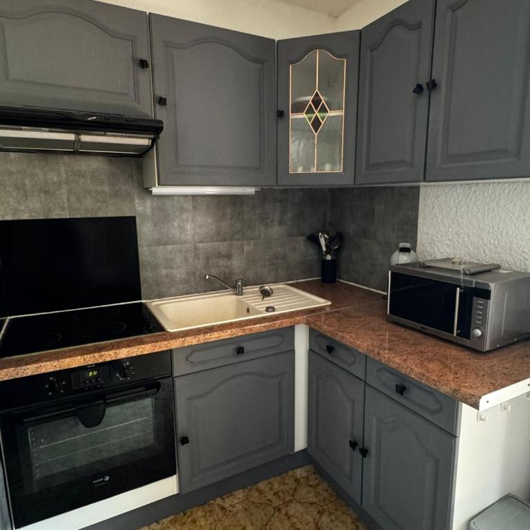 T2 climatisé avec jardin proche plage centrale - FR-1-732-97 - Appartement - 10