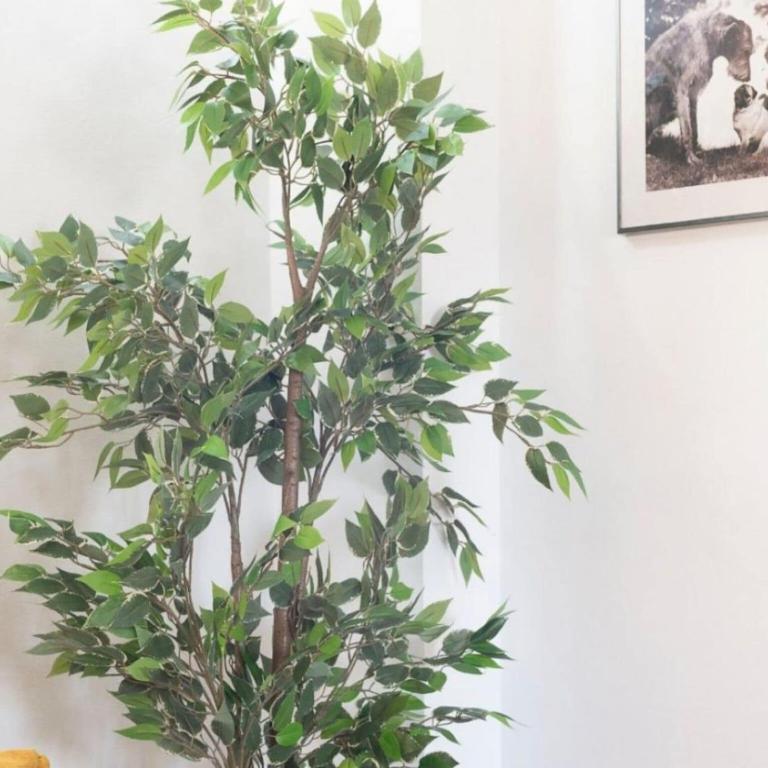 Stay near Feria, Madrid - Apartamento de 3 dormitorios - 25