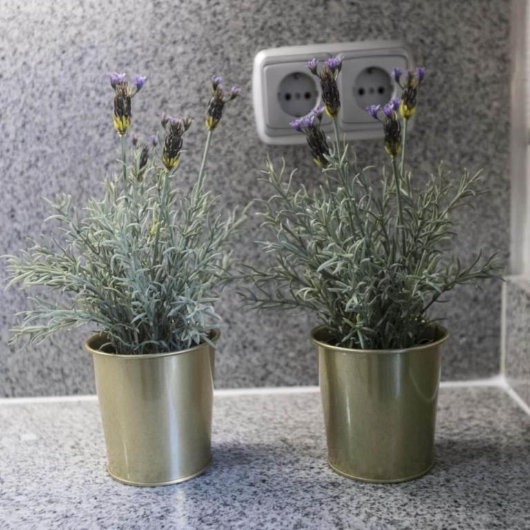 Madrid Hideaway Near Museums - Apartamento de 2 dormitorios - 25
