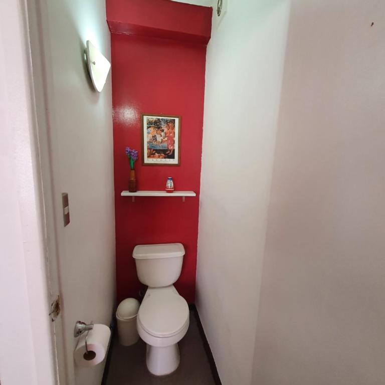 Jaguar Hostel - Habitación Doble con baño privado - 2