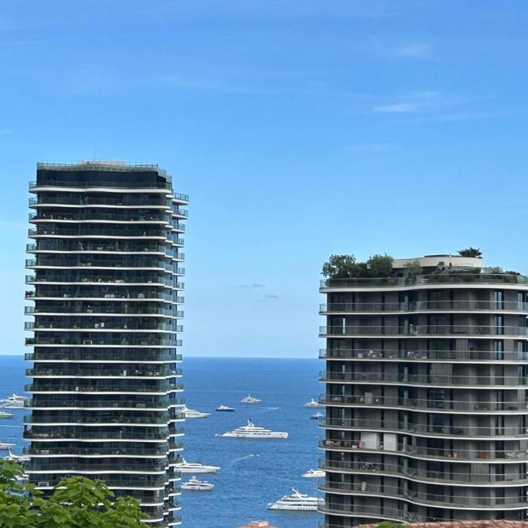 Monte-Carlo Panorama - Appartement 1 Chambre - 1