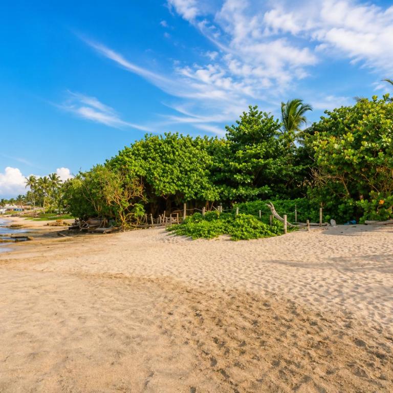 Las Dunas Beach - Villa - 18