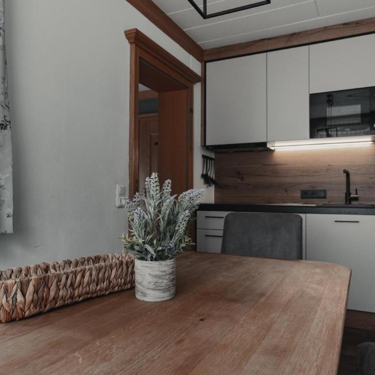 Landhaus Andrea Saalbach - JOKER Card Partner - Apartment with Mountain View - 21