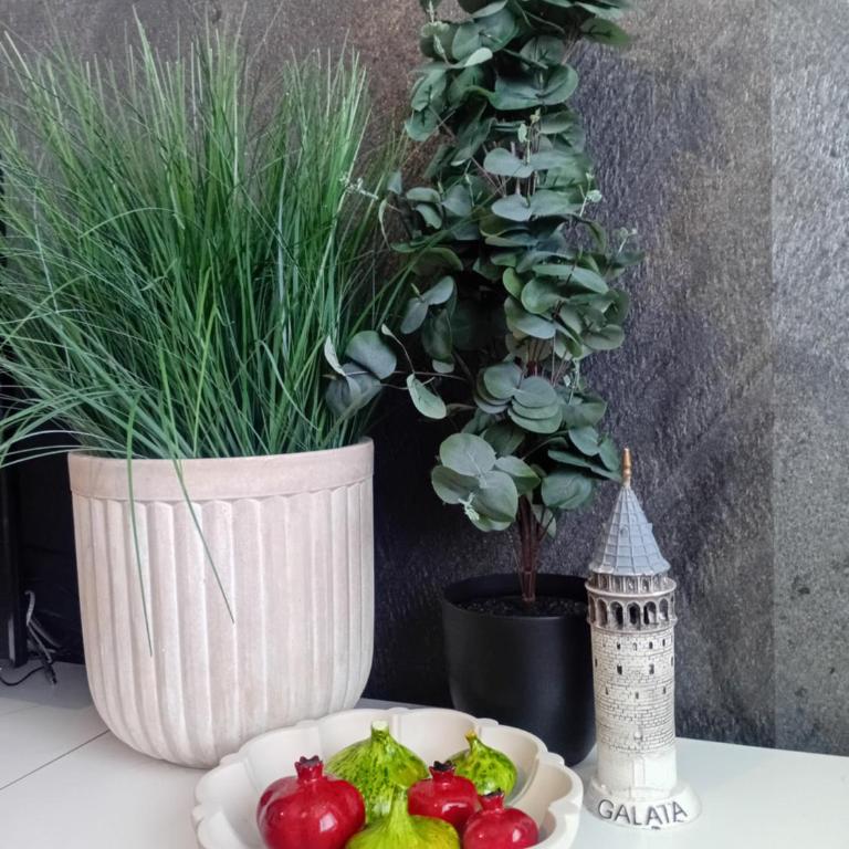 Obsidian Residence 2 - Modern Apartment near airport with free parking - Apartman sa 2 Spavaće Sobe - 9