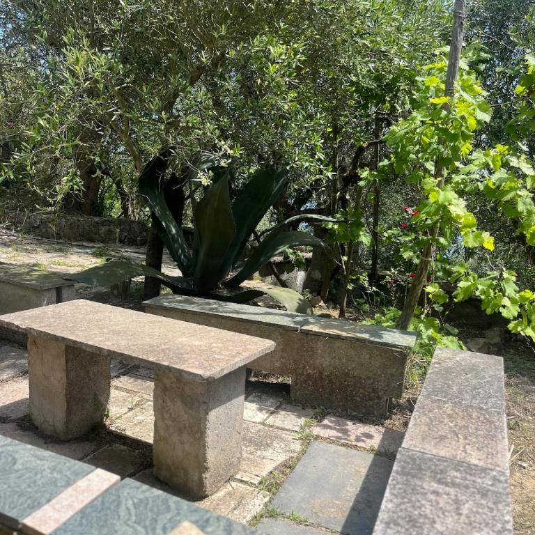 The Roses House, Fondo San Vito - Casa con 2 Camere da Letto - 14