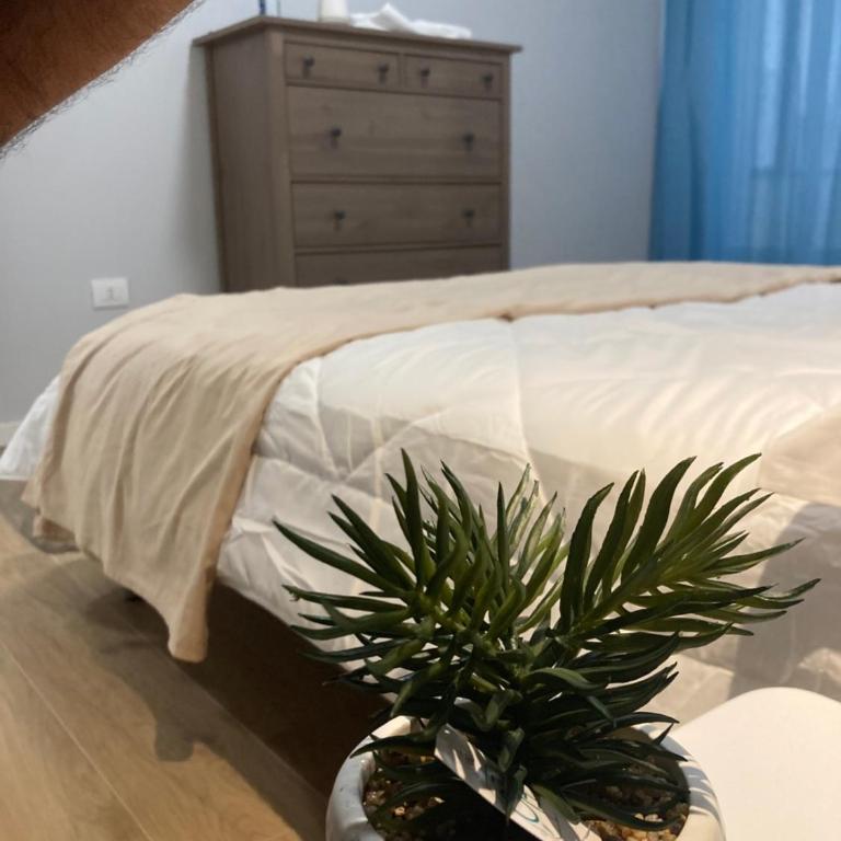 TerracitoReggio Vari Appartamenti - Appartement 1 Chambre - 4