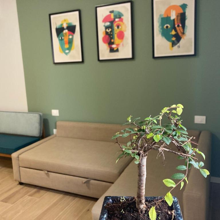 TerracitoReggio Vari Appartamenti - Appartement 1 Chambre - 6