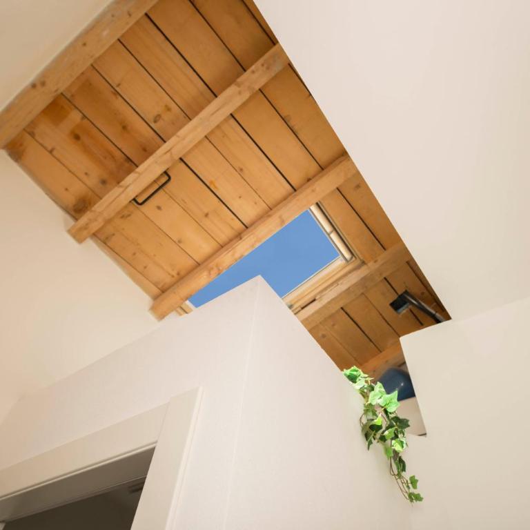 JOIVY Brand New 1-Bedroom Flat with Balcony next to the Bay of Silence - Appartamento con 1 Camera da Letto e Balcone - 17