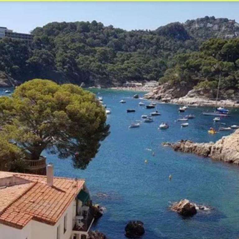 La Terrasse 1-Vue Mer Panoramique & Piscine, BBQ - Appartement - 78