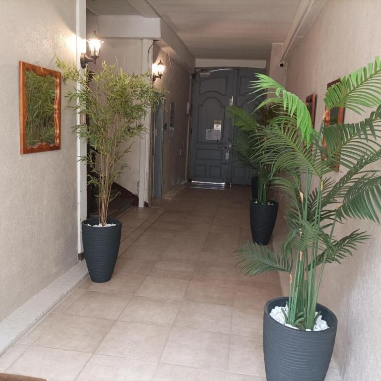 "Air d'Antan"-Meublé de Tourisme 3 étoiles -Résidence "Les Logis de Béziers"-Garage optionnel-Cœur de ville-Plages à 16km ! - Appartement - 35