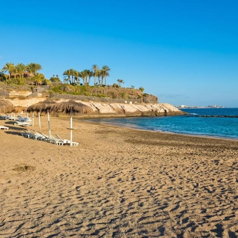 Lush Home Costa Adeje - Garden,BBQ & Swimming Pool - Apartment with Terrace - 15