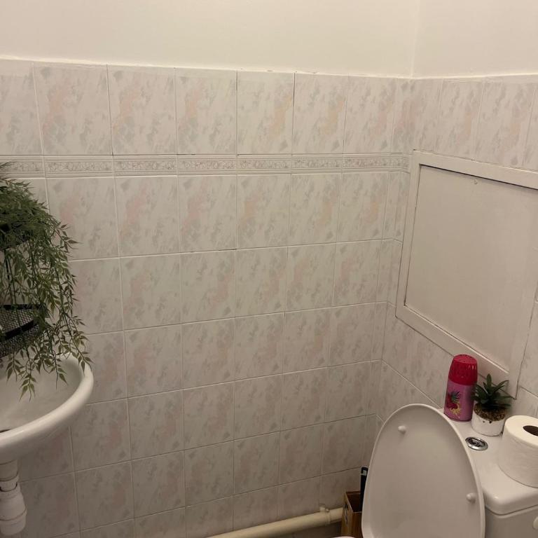 Large cozy apartment and good location in Grenoble - Apartment mit 2 Schlafzimmern - 4