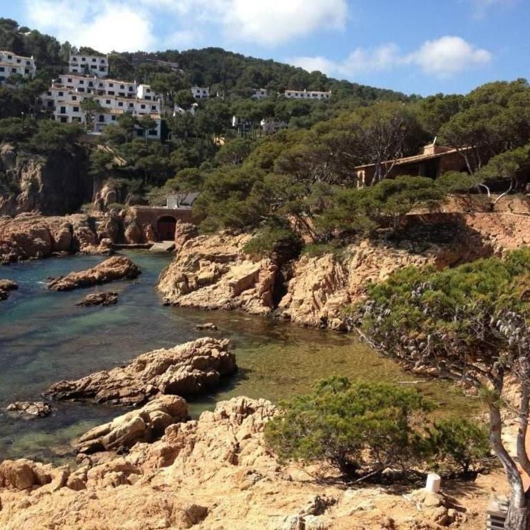 La Terrasse 1-Vue Mer Panoramique & Piscine, BBQ - Appartement - 92