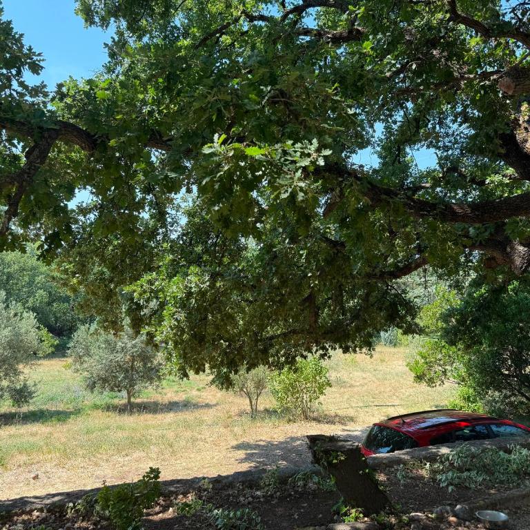 L'Ensoleillade - Maison de campagne avec grand jardin arboré à 5 min d'Aix - Casa de 4 dormitorios - 2
