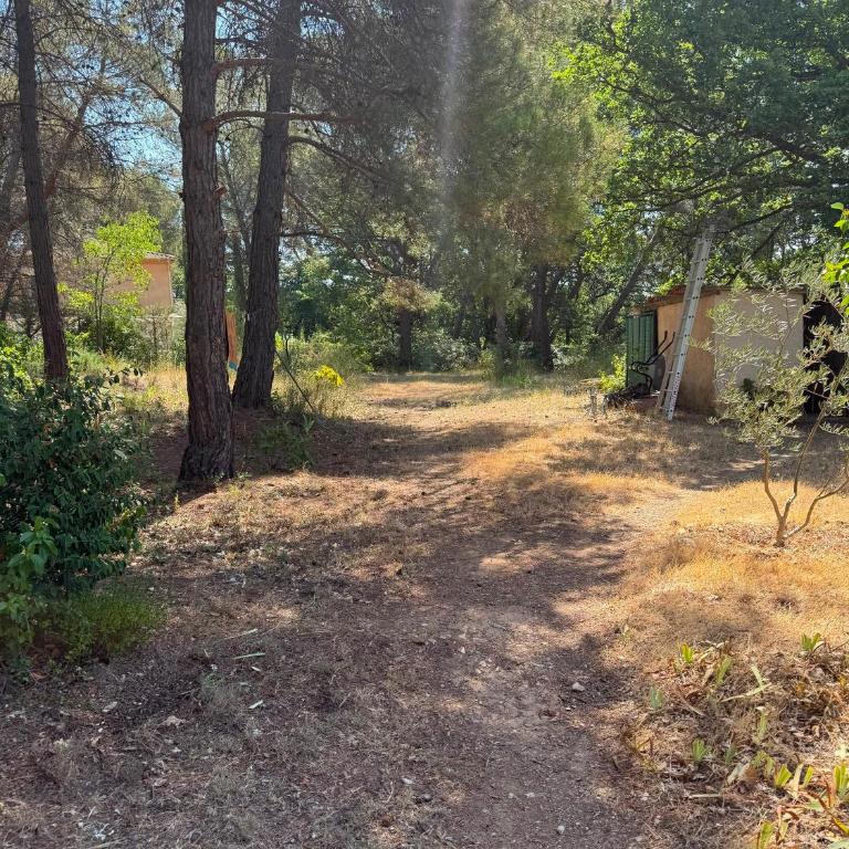 L'Ensoleillade - Maison de campagne avec grand jardin arboré à 5 min d'Aix - Casa de 4 dormitorios - 6