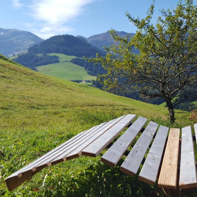 Weinrebenhütte Wildschönau - Haus mit 3 Schlafzimmern - 13