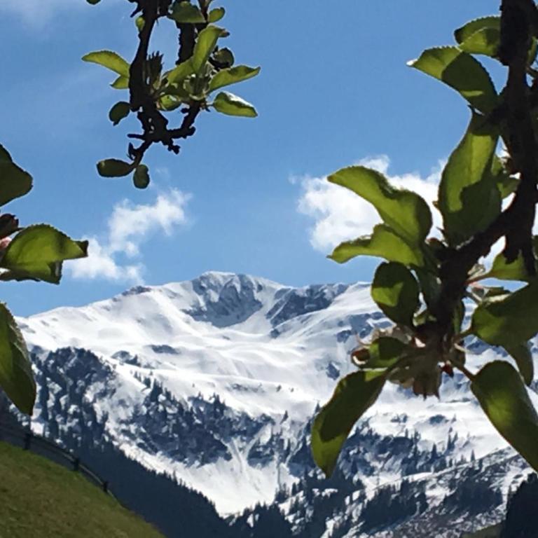 Weinrebenhütte Wildschönau - Haus mit 3 Schlafzimmern - 12
