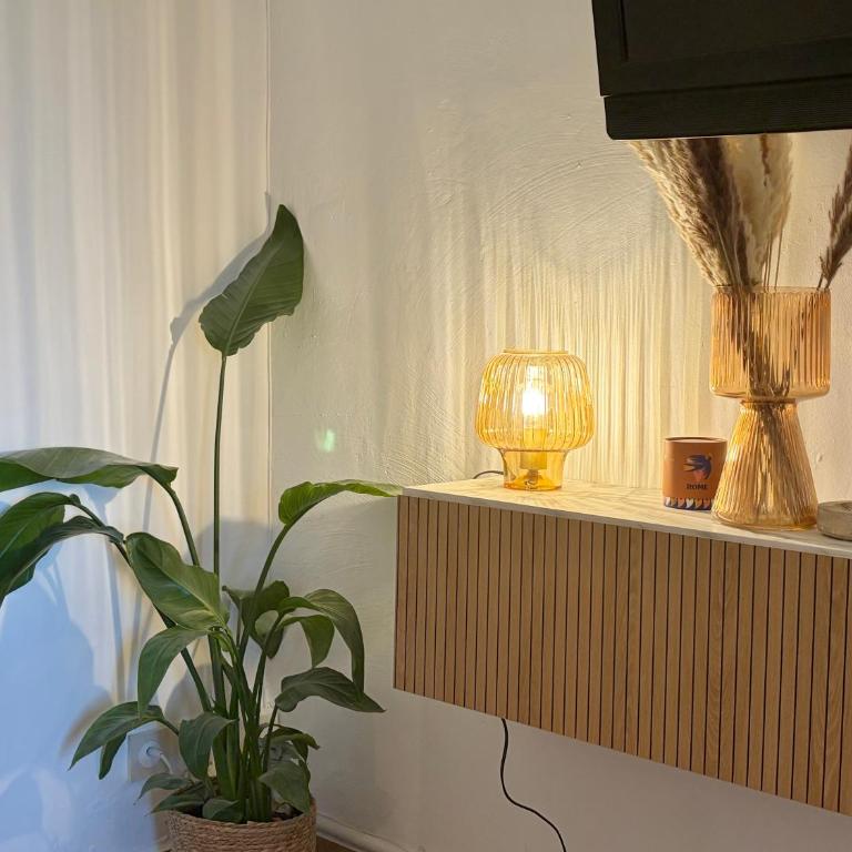 Studio moderne avec jardin à 500 m de la mer - Studio with Garden View - 5