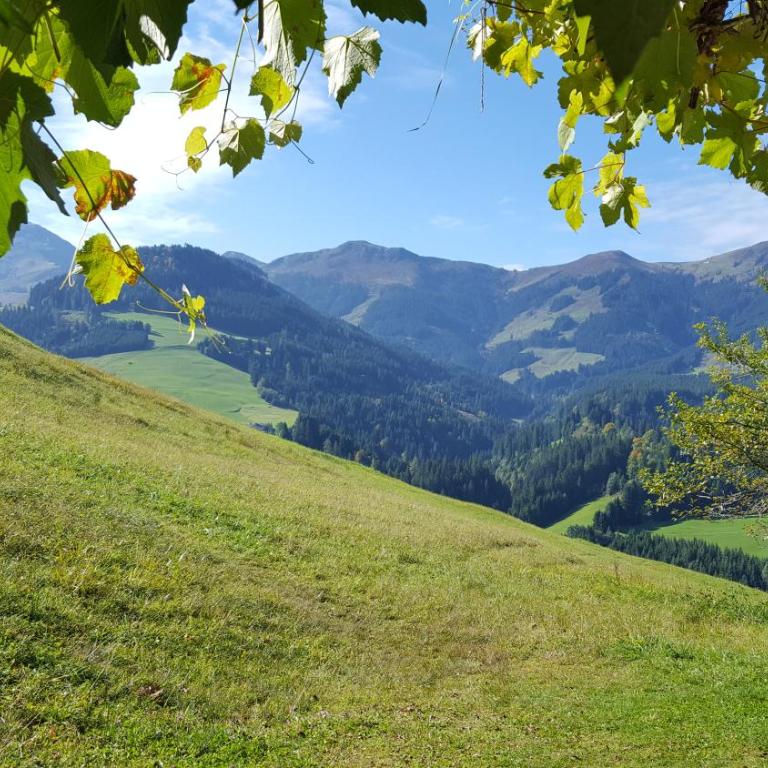 Weinrebenhütte Wildschönau - Haus mit 3 Schlafzimmern - 18