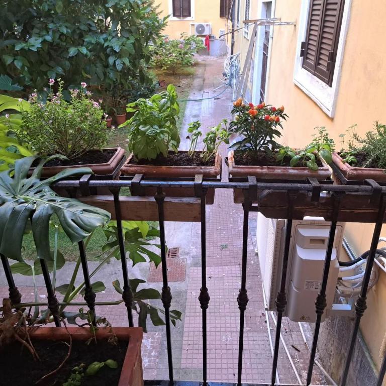 Ottaviano Style - Appartamento con 2 Camere da Letto - 2