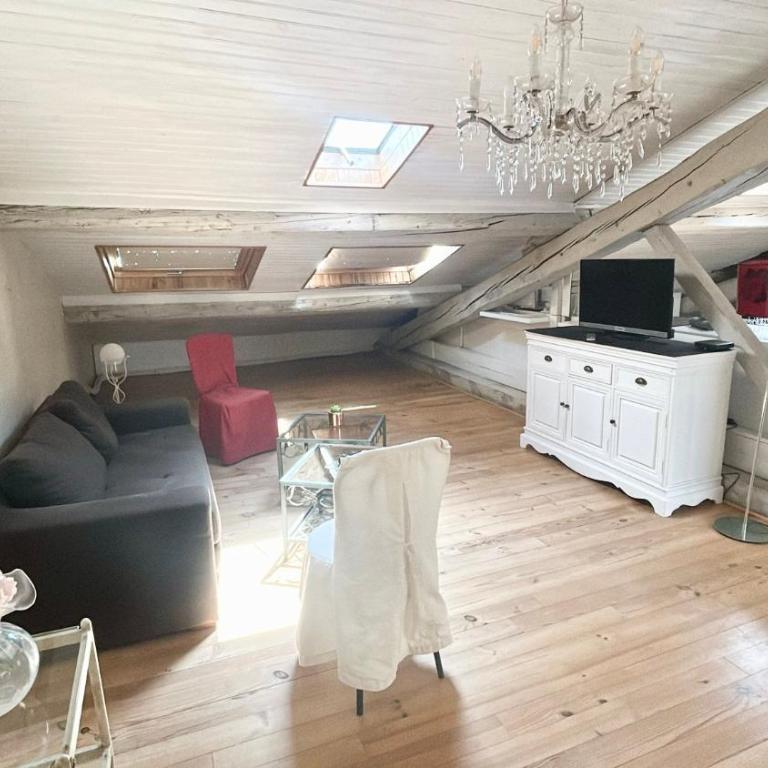 Les Bellevue Cité "4 Apartments, 1 with Garden & Private Parking, Aircon, WiFi, Free Public Car Park, 1 km from Cité" - Loft - 1