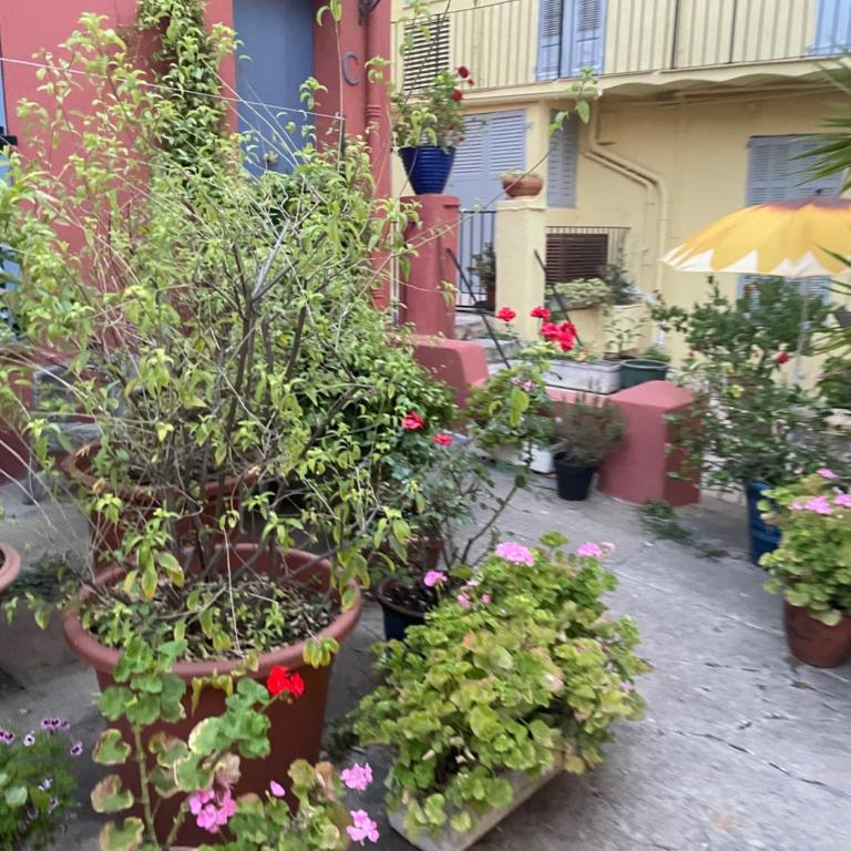 Home in Cannes - Appartement 1 Chambre - 15